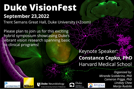After a successful virtual symposium in 2020, Duke VisionFest returns for an exciting hybrid event showcasing Duke&amp;#39;s vibrant vision research spanning basic to clinical programs.   The event will be held in person at Duke&amp;#39;s Trent Semans Center and streamed via Zoom on Friday, September 23, 2022. The event will include several scientific talks and networking opportunities and feature keynote speaker Constance Cepko, PhD, Harvard Medical School.   Duke VisionFest 2022 is sponsored by Proteintech, Nikon, Duke Neurobiology, Duke Institute for Brain Sciences and Atsena Therapeutics. Registrations details and program agenda will be available in the coming months.